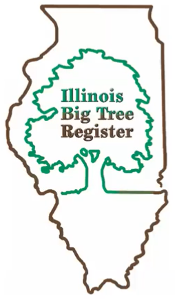 big tree register logo