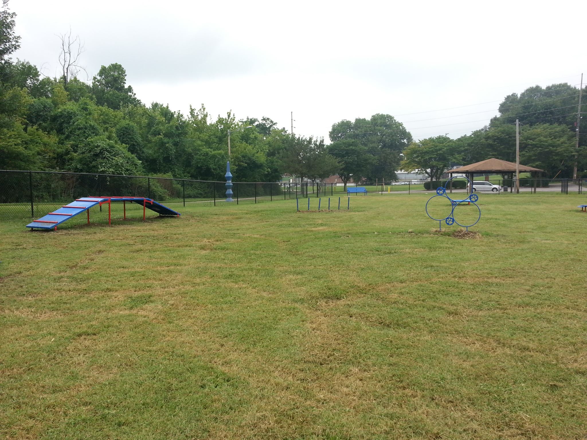 Large Open Area Inside Dog Park